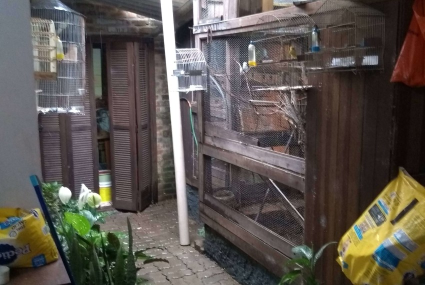 IMG_20181130_100731441