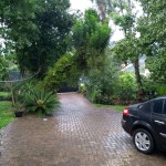 IMG_20181130_101408334