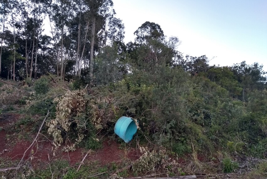 IMG_20210721_165319656_HDR