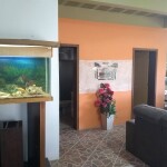 IMG_20200814_150301931