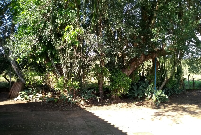 IMG_20200612_125231436