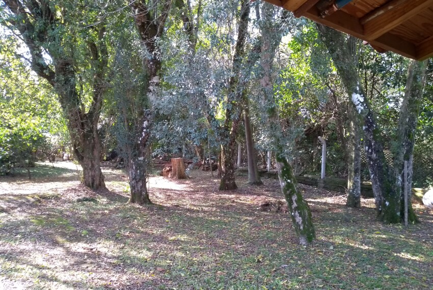 IMG_20200612_125318074