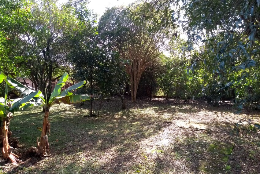 IMG_20200612_125328117