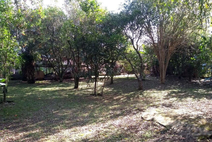 IMG_20200612_125338830