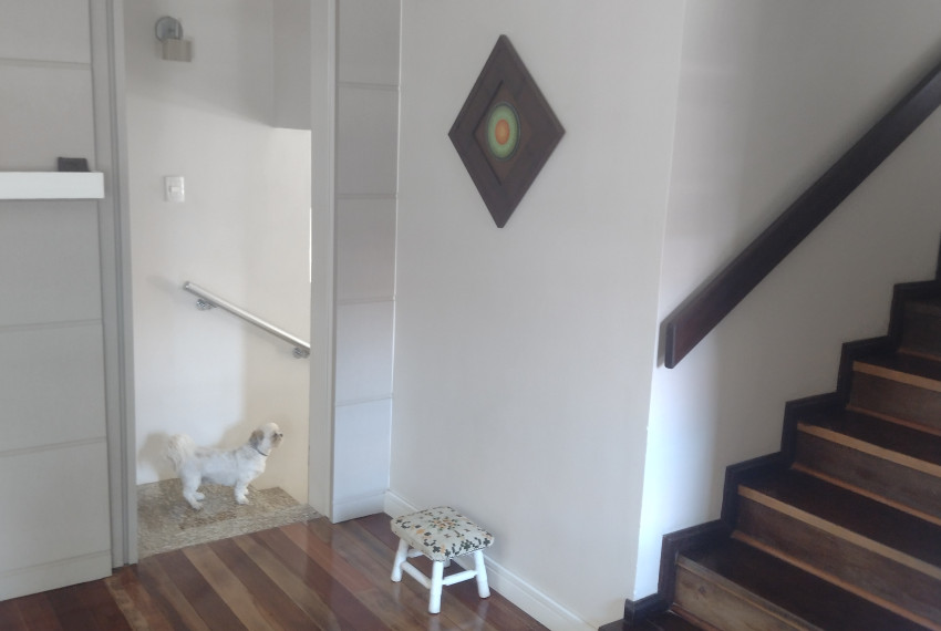 IMG_20231121_103028551